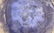 Wizyta studyjna Erasmus+ w Afryce